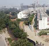 Lush Green healthy enviornment